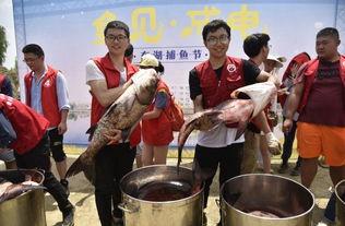 网红吃瓜街,揭秘网络红人的幕后生活