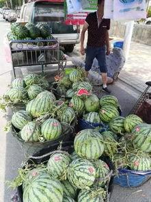 潮州网红吃瓜事件视频曝光,视频曝光引发网友热议