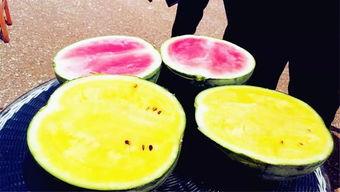 七月吃瓜爆料,娱乐圈爆料大揭秘