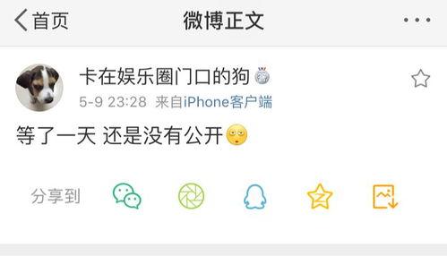 吃瓜爆料.ccom,热门八卦背后的真相