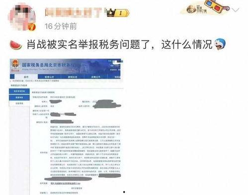 怎么举报吃瓜网,如何有效举报吃瓜网不当行为